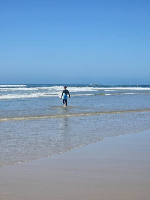 Herr Tillmanns geht surfen
